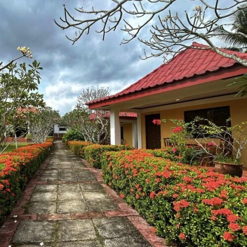 Casita 6