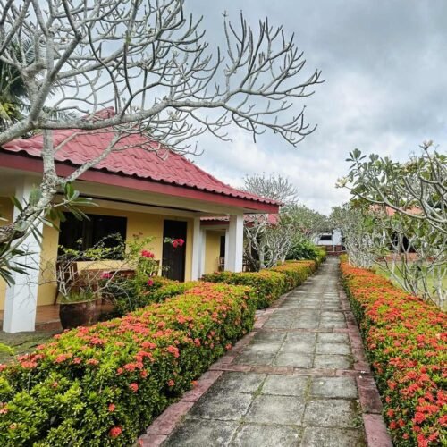 Casita 2